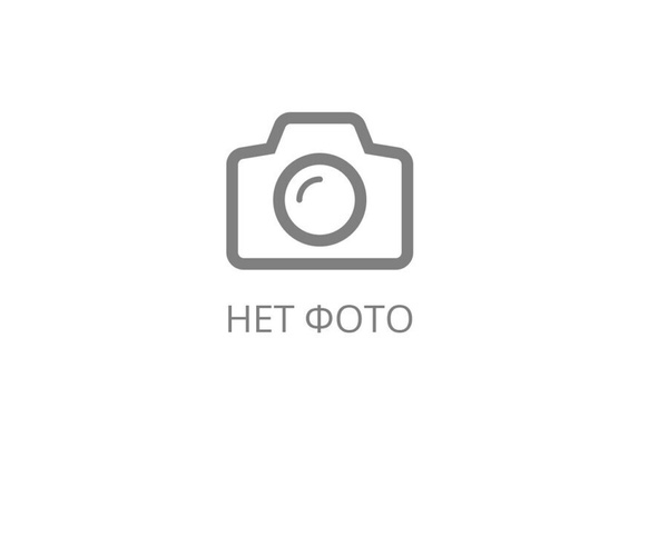 Сдам однокомнатную квартиру на месяц,,конец сентября,октябрь ,район Куйбышева,дадаева,одно условие присматривать за хорошим,ласковым котиком,по оплате договоримся 89110747196...